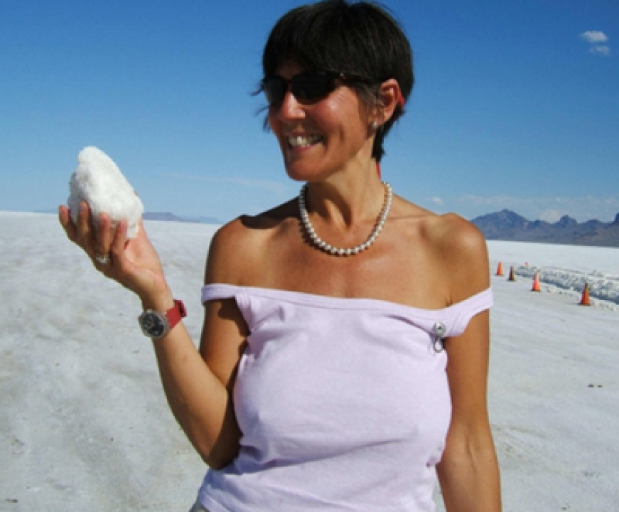 SkalViRejseVokSammen